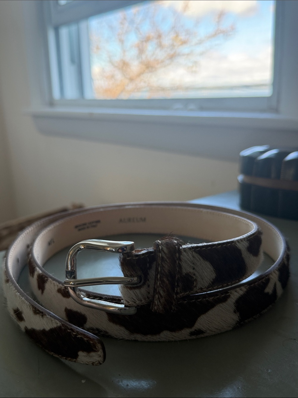 AUREUM Brown & White Cowhide Leather Belt with Silver Buckle